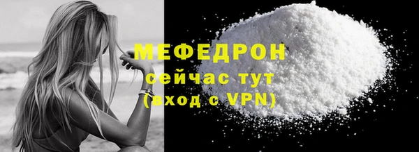 индика Богданович